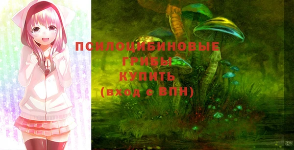 дмт Баксан