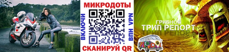 Псилоцибиновые грибы мицелий Суджа